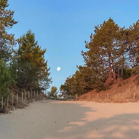 Holiday home Spacious Near In Julianadorp