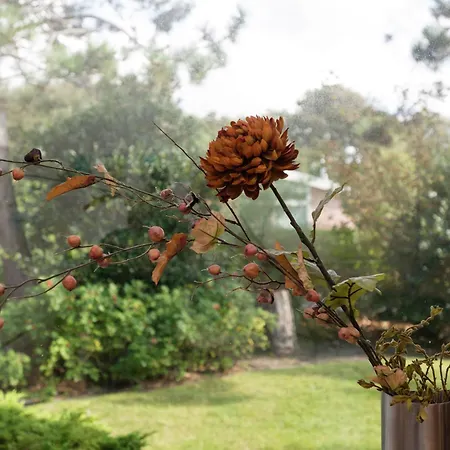 In Near Casa de Férias