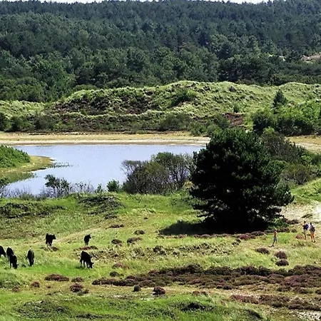 In Near Casa de Férias Julianadorp