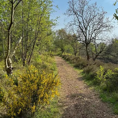 In Near Vakantiehuis *