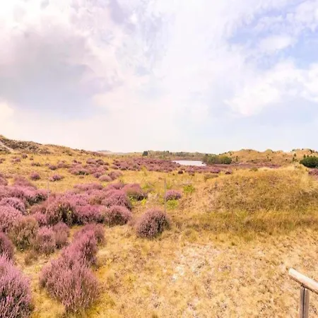 In Near Vakantiehuis Julianadorp