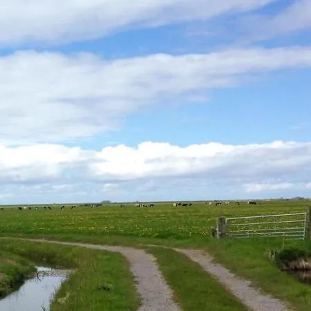 In Near Vakantiehuis