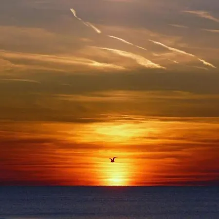 In Near Vakantiehuis Julianadorp